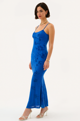 ✦ Celeste Velvet Burnout Maxi Dress