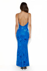 ✦ Celeste Velvet Burnout Maxi Dress